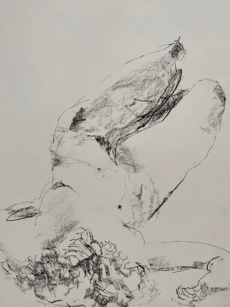 Figure Drawing by Hans van den Eijnde