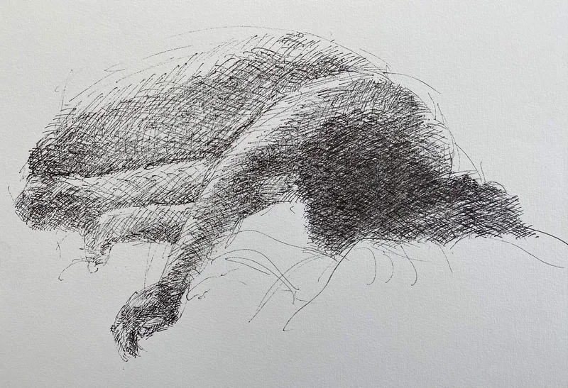 Figure Drawing by Hans van den Eijnde
